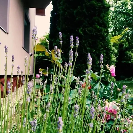 Apartman Lavender Siófok