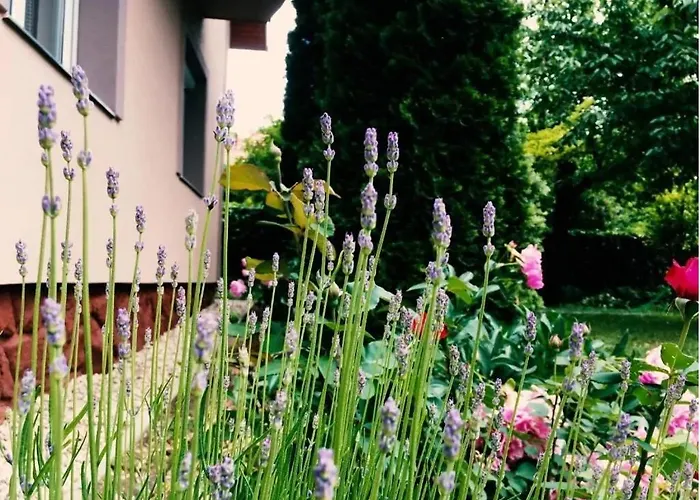 Apartament Lavender Siófok